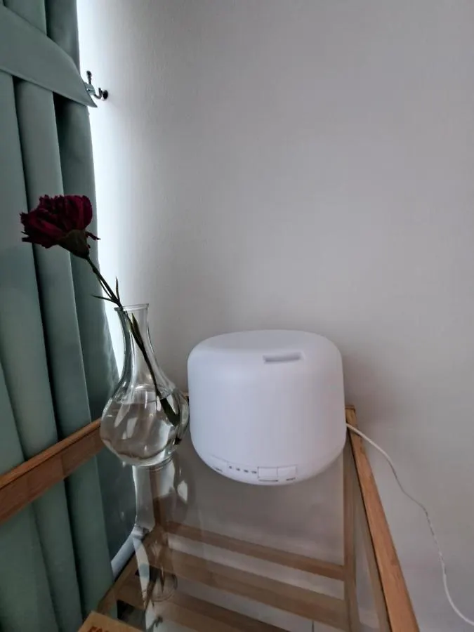 Cozy Home Country Garden At Dangabay Of Jb, Free Wifi And Streaming Johor Bahru Malaysia
